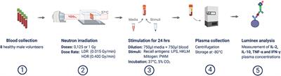 Immunological Changes During Space Travel: A Ground-Based Evaluation of the Impact of Neutron Dose Rate on Plasma Cytokine Levels in Human Whole Blood Cultures